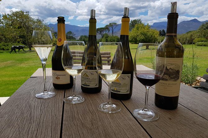 Customized Private Wine Tour - Kanonkop Wine Estate: red-wine focus, Pinotage, and the story behind the name