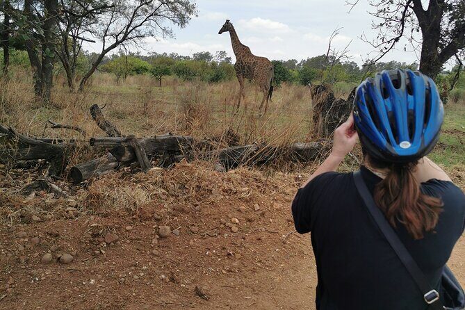 Cycling in a Forest close to Johannesburg and Pretoria - Forest Cycling Near Pretoria: The Point of This Ride