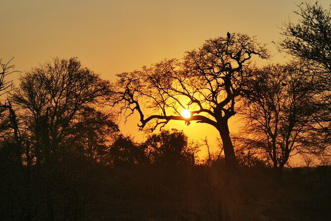 Cycling in a Forest close to Johannesburg and Pretoria - What’s Included (and What You’ll Need to Bring)