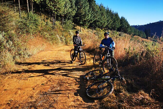 Cycling The Cradle of Humankind in Game Reserve - Wildlife spotting chances: giraffe, rhino, hippo, and more