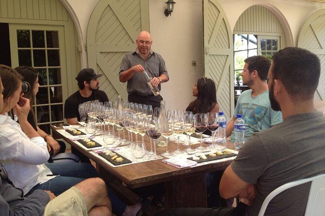 Daily Different small group WINE tour - STELLENBOSCH PICKUP only - The vibe: small-group wine in Stellenbosch, not a big bus day