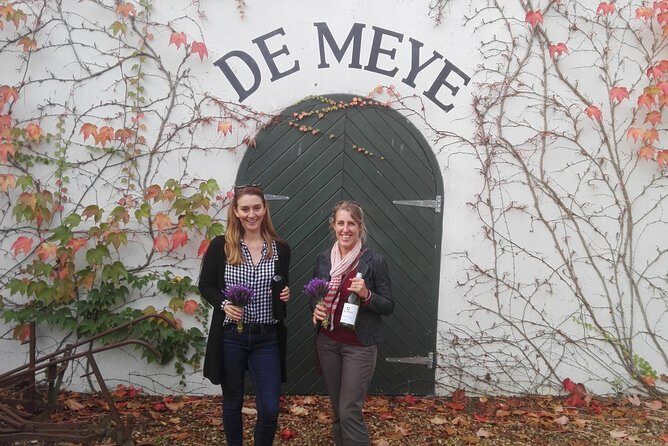 Daily Different small group WINE tour - STELLENBOSCH PICKUP only - Who this tour is best for (and who should skip it)