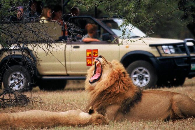 Daily Pilanesberg National Park Private Shuttle Services - The Drive to Sun City: Direct, Scenic, and Not a Taxi-Line Experience