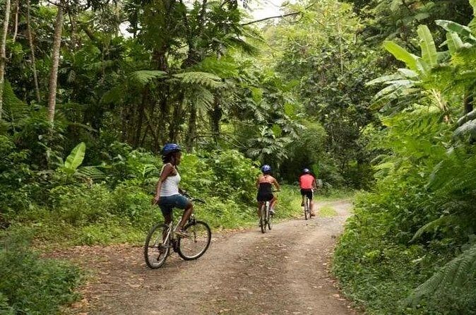 Day of Adventure - Zipline and Hike or Bike - The zipline course: 12 lines and what the course feels like
