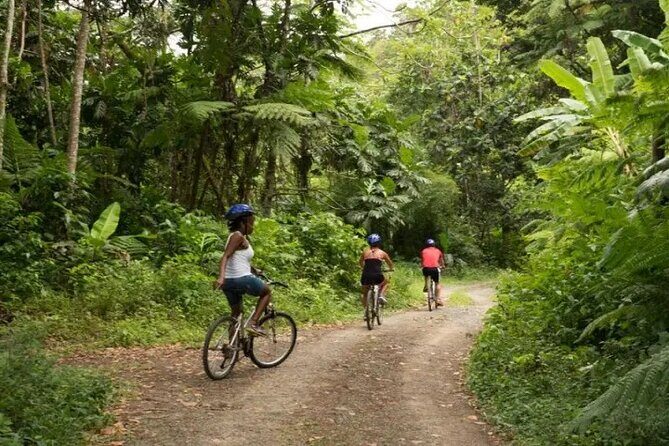 Day of Adventure - Zipline and Hike or Bike - Errard Waterfall: the payoff stop