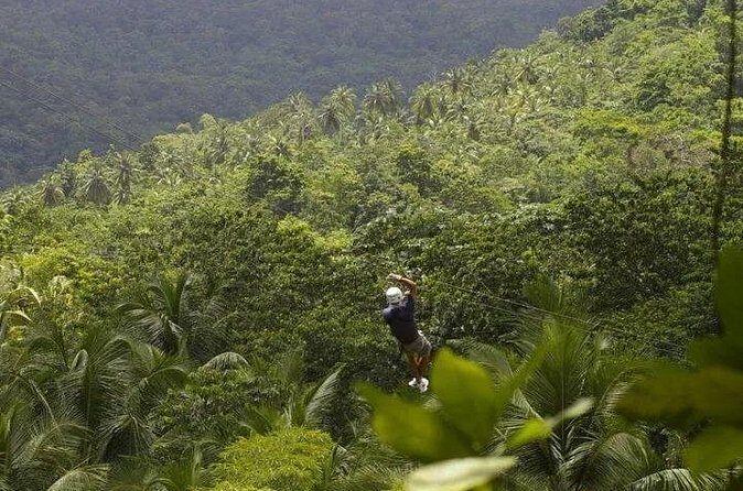 Day of Adventure - Zipline and Hike or Bike - Fitness, safety, and who should book this