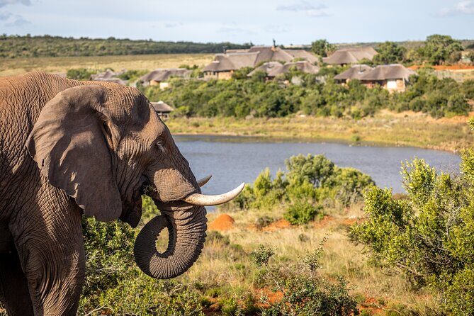 Day Safari at Pumba Private Game Reserve - What to pack and how to dress for this safari
