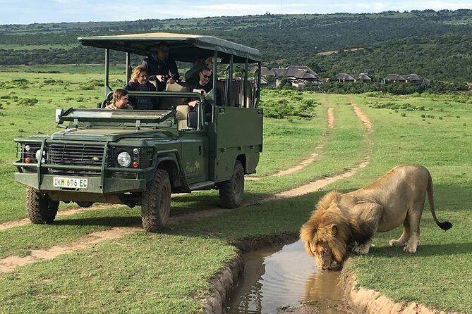 Day Safari at Pumba Private Game Reserve - Welcome drink at the gate: a small start that matters