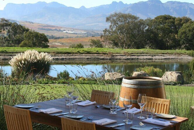 De-Alcoholized Wine Tasting - Key Points Before You Go