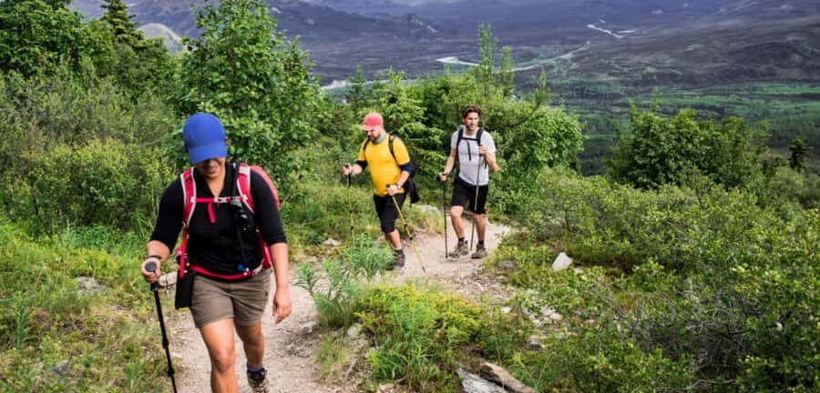 Drakensberg Mountains Full Day Tour From Durban & Hiking - Transport, guide pace, and the small-group reality