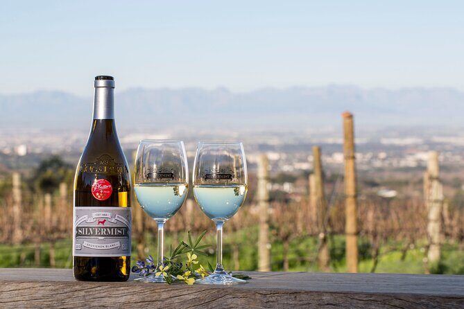 Drumstruck at Silvermist. Live African Drum Show & Wine tasting - Wine tasting with Gregory Brink Louw: tasting with context