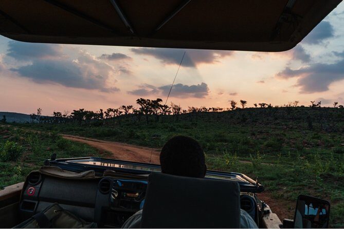 Durban: Big 5 Safari - Open Safari Vehicle at Exclusive Reserve - A Dawn Start That Makes Big Cats More Likely