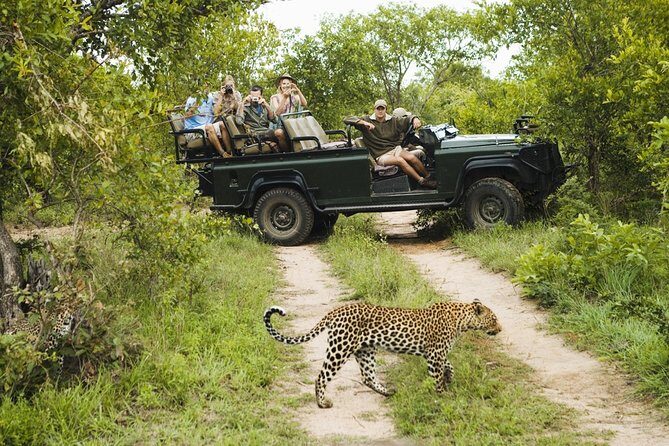 Durban: Big 5 Safari - Open Safari Vehicle at Exclusive Reserve - Manyoni Private Game Reserve: Why This Access Feels Different