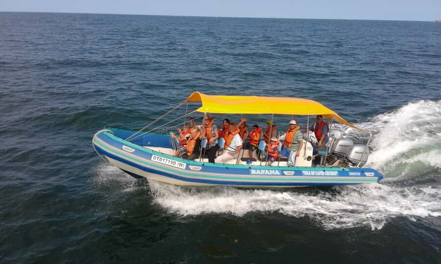 Durban: Durban: Whale and Dolphin Watching Boat Tour - Durban whale watching in 2 hours: the practical thrill