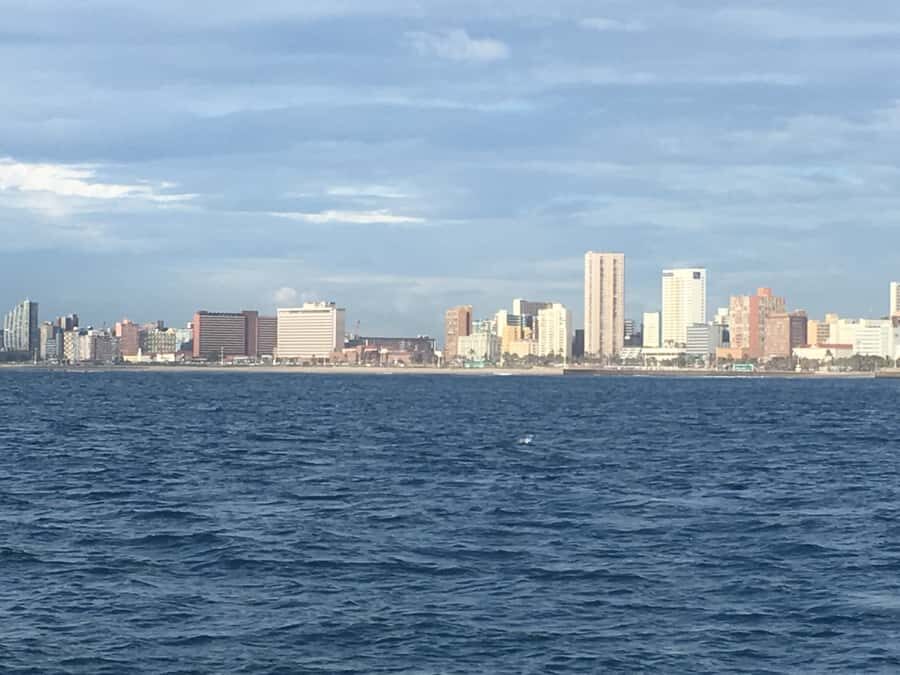 Durban: Durban: Whale and Dolphin Watching Boat Tour - The guide experience: learning fast and watching better