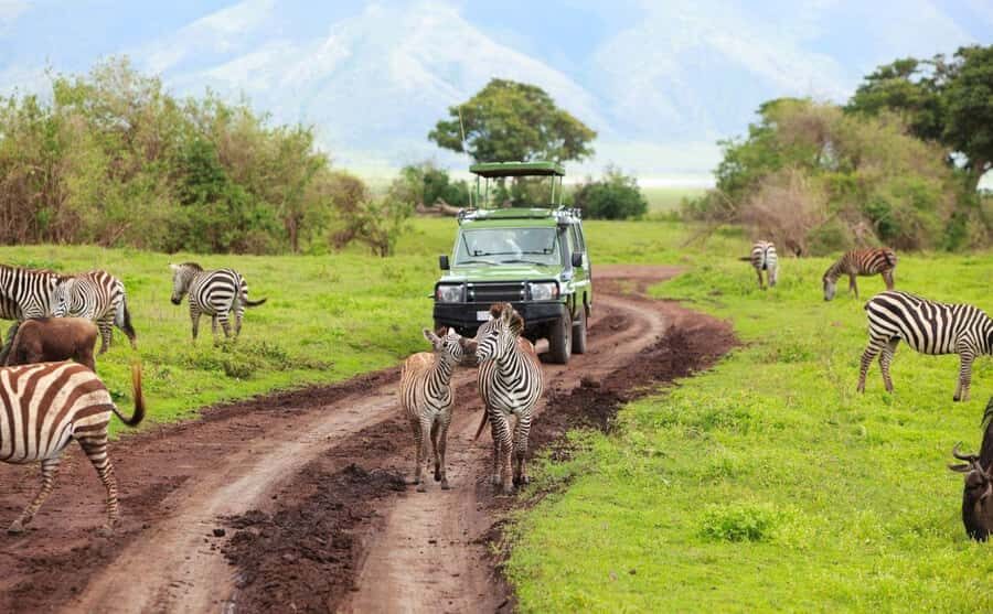 Durban: Half Day Phezulu Safari Park and Durban City Tour - Key things to watch for on this Durban tour