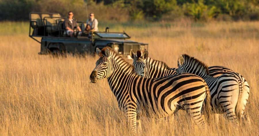 Durban: Half Day Phezulu Safari Park and Durban City Tour - Should you book the Durban: Phezulu Safari Park + city tour?