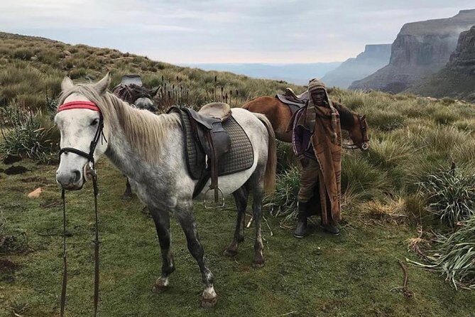 Durban: Journey along the Epic Sani Pass & Lesotho Tour - Key highlights worth knowing before you go