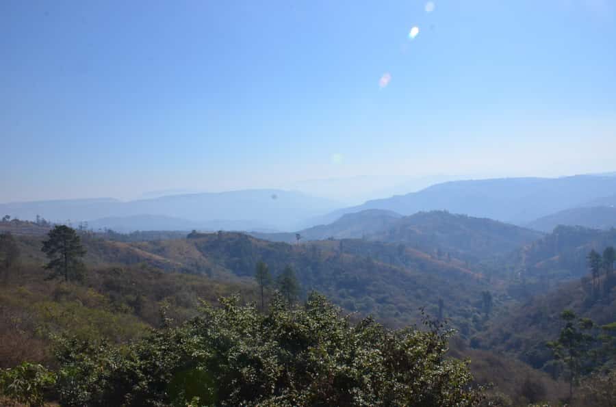 Durban: Phezulu Cultural Village & Reptile Park Tour - Durban to the Valley of a Thousand Hills: the easy start