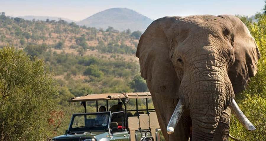 Durban: Tala Game Reserve and African Cultural Half-Day Tour - Pickup and Transportation: How the Wide Durban Catchment Works
