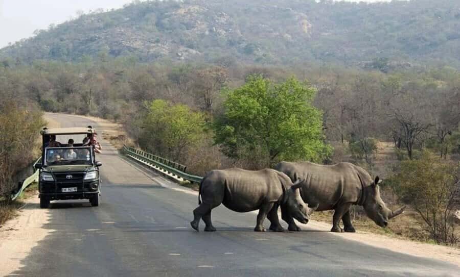 Durban: Tala Game Reserve, Phezulu Park, & Market Tour - A tight day plan: Tala safari, Phezulu Zulu village, Durban market