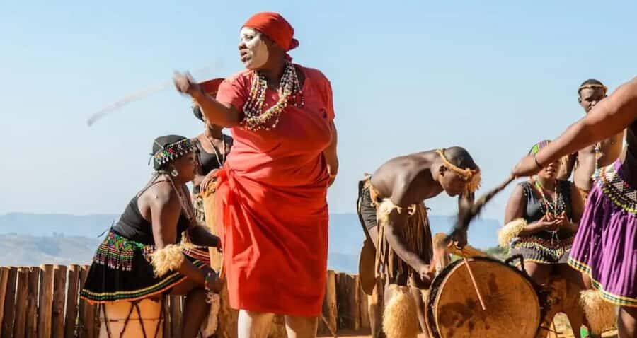 Durban: Tala Game Reserve, Phezulu Park, & Market Tour - Price and value: does $229 for 7 hours make sense?