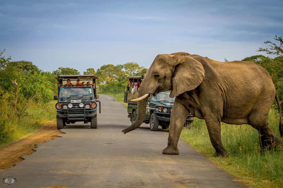 Durban:3 Day Hluhluwe-Imfolozi Park, St Lucia, iSimangaliso - Durban to St Lucia in 3 days: why this route works