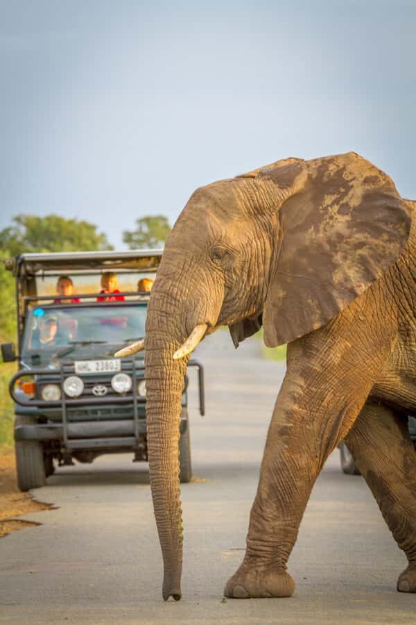 Durban:3 Day Hluhluwe-Imfolozi Park, St Lucia, iSimangaliso - Day 1: St Lucia Estuary cruise, then a sunset drive in iSimangaliso