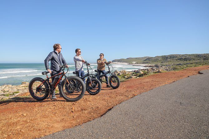 E-Bike Cape Peninsula tour - E-Bikes, Helmets, and the Backup Battery Safety Net