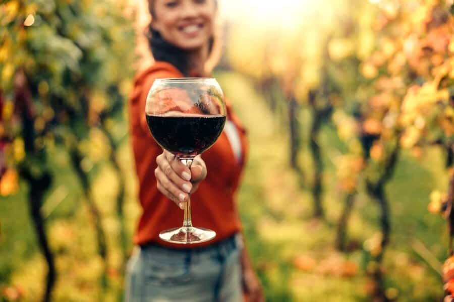 E-Bike Stellenbosch Winelands - Full Day Private Tour - Key things I’d circle before you book