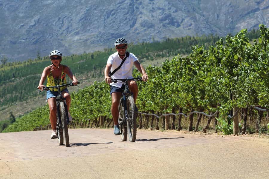 E-Bike Stellenbosch Winelands - Full Day Private Tour - Entering the Winelands on an e-bike: effortless, but not boring