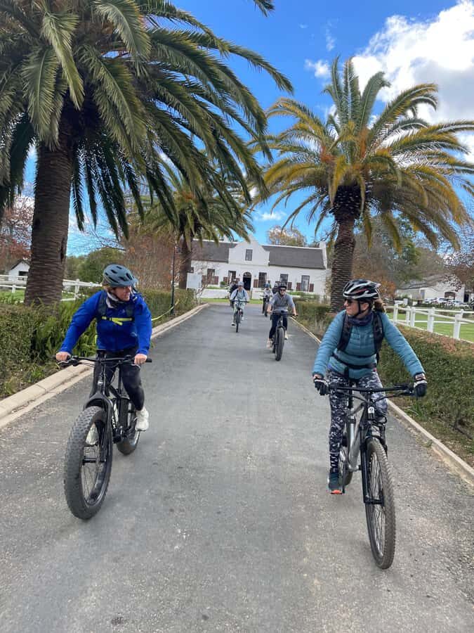 E-Bike Stellenbosch Winelands - Full Day Private Tour - Price and value: what you’re really paying for at $145