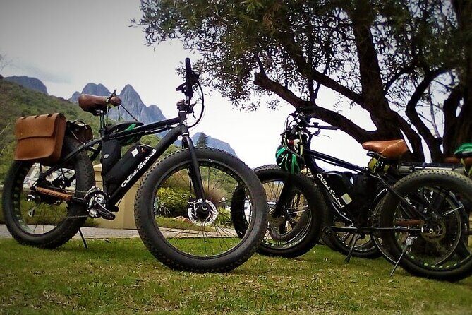 E-Bike Wine Tour Stellenbosch Countryside (Half Day) - Getting your e-bike handled before you roll