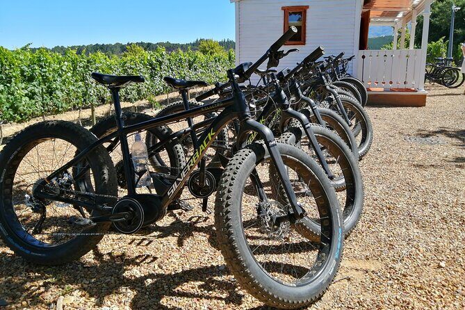 E-Bike Wine Tour Stellenbosch (Half Day) - Key highlights you’ll actually feel during the ride