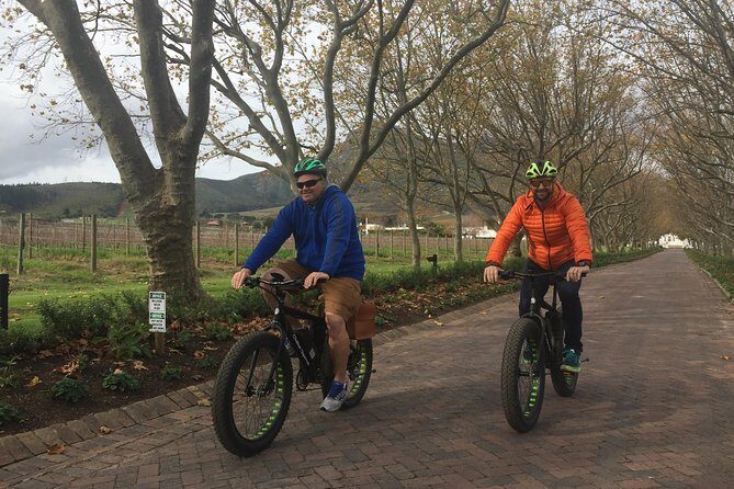 E-Bike Wine Tour Stellenbosch (Half Day) - The real effort level: e-bike comfort, helmets, and step-through options