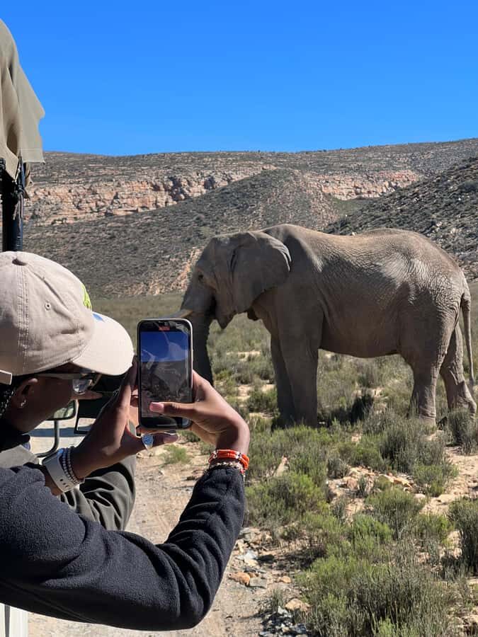 Early Morning Safari Big Five Experience Near Cape Town, SA - Key takeaways before you go