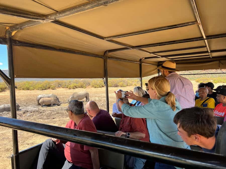 Early Morning Safari Big Five Experience Near Cape Town, SA - Timing: why the 8-hour day feels tight but well paced
