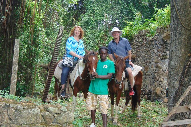 East Coast Horseback Riding & Waterfall Excursion - Key Highlights You’ll Feel Right Away