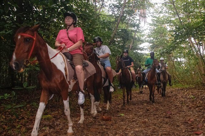 East Coast Horseback Riding & Waterfall Excursion - Price and Logistics: Why $160 Can Actually Make Sense