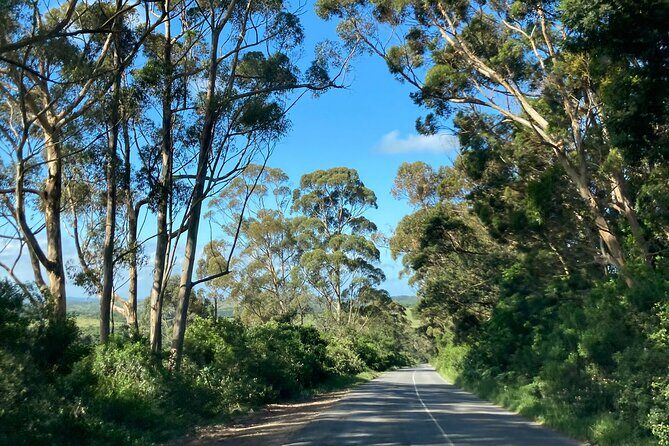 East London Airport Private Shuttle to Chintsa - Thobela and the safety-first feel