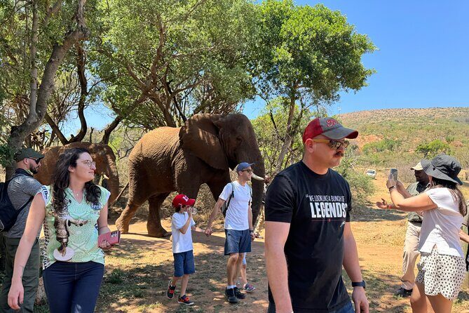 Elephant & Monkey Sanctuary Tour from Johannesburg - Key highlights you’ll care about