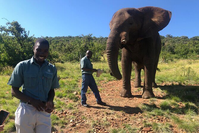 Elephant & Monkey Sanctuary Tour from Johannesburg - The brief Hartebeespoortdam stop: good for photos, not a full break