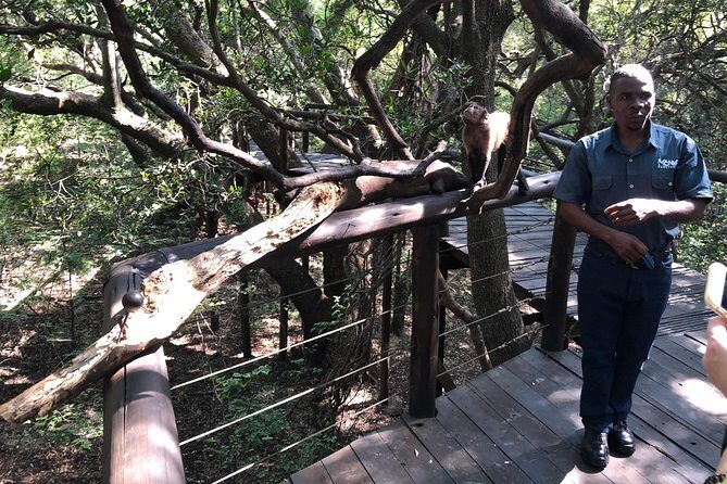 Elephant & Monkey Sanctuary Tour from Johannesburg - Timing, group size, and transport: what to expect when you plan your day