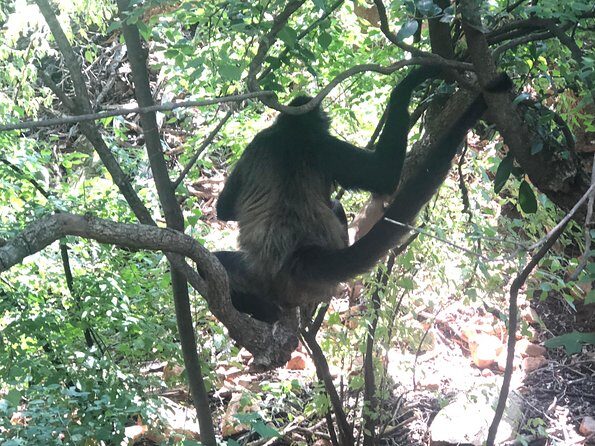 Elephant & Monkey Sanctuary Tour from Johannesburg - Price and value: is $307.20 a fair deal?