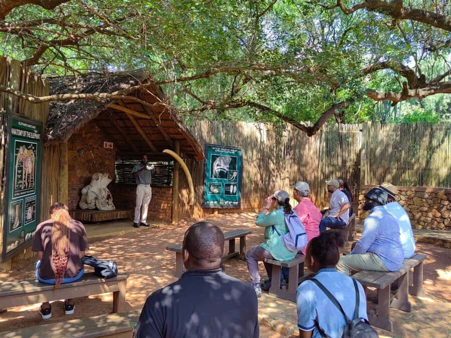 Elephant & Monkey Santuary with Lion Park Tour - A full-day wildlife route from Johannesburg to Hartbeespoort