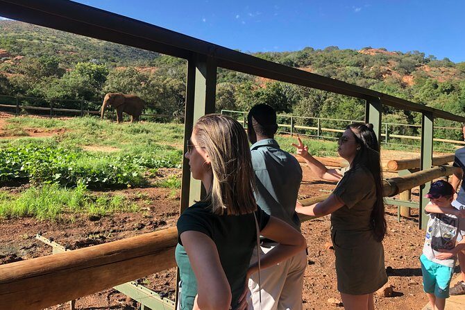Elephant Sanctuary Tour from Johannesburg - It’s Not Just Elephants: Learning the Rescue and Rehabilitation Side