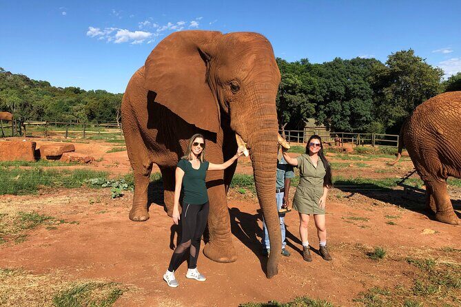 Elephant Sanctuary Tour from Johannesburg - What’s Not Included (So You Don’t Get Caught Off Guard)