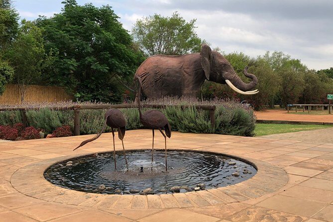 Elephant Sanctuary Tour from Johannesburg - Who Should Book This Elephant Sanctuary Day Trip?
