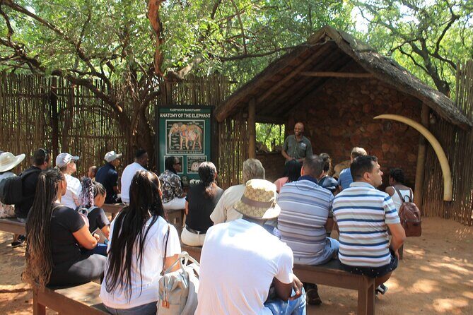 Elephant Sanctuary Tour From Johannesburg - Price and Value: Is $226.75 Worth It?