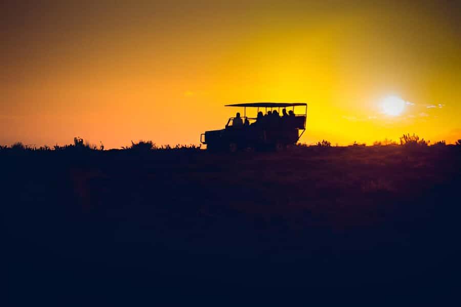 Evening Pilanesberg Safari Tour from Sun City - Heading Back to Manyane Gate Before Full Darkness